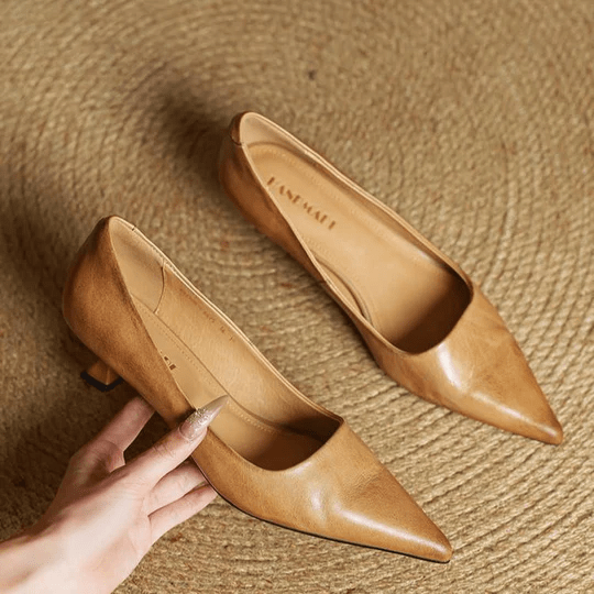 Zara Pointed-Toe Heels